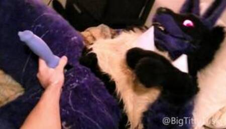 Pokemon Trainer gives Lucario a Handjob, cums TWICE!