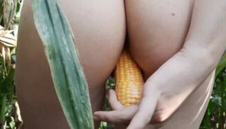 I'm playing in corn field