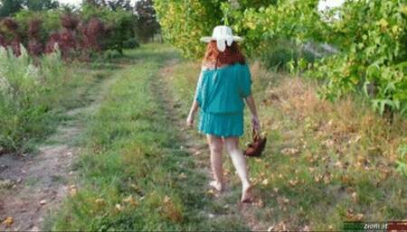 A Summer Afternoon ( Fourth Scene New Color ) Un Pomeriggio d'Estate ( Quarta Parte )