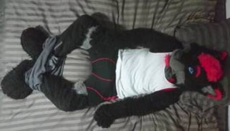Sexy Fursuit Stripping