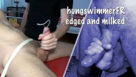 hungswimmerFR edged and milked