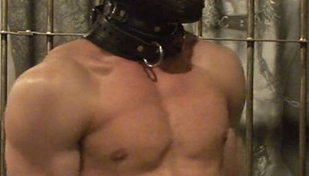 Captured and Punished