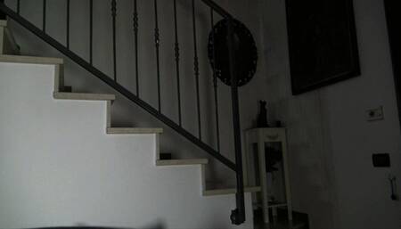 THE BLONDE SLUT AND THE THIEF