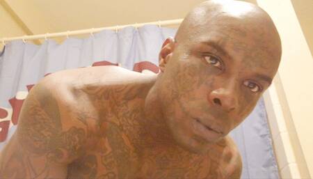 Big Black Dick Worship Hallelujah Johnson One Love