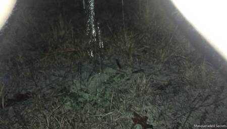 Bushy Close-up Desperate Pees Round Three HD