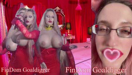 Paypig Job Position Candidate