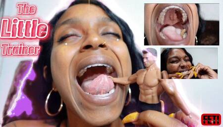 Feti The Little Trainer-Phoenix 4K