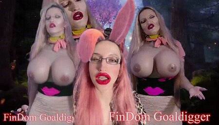 The Cuckolding Husband must only PAY