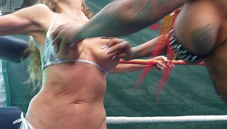 Big Boob Vixens Fight for the Belt