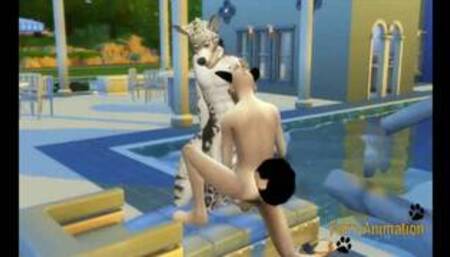Furry Yaoi - Dog and Snow Leopard Sex in a Swimming pool