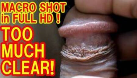 CLEARLY SEE the WRINKLES on the FORESKIN and the BUMPS of the CORONA on the GLANS of MY PENIS!