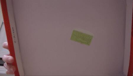 Look How Tiny You Are - Sutton