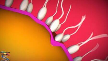 LordAardvark - Breed Your Queen