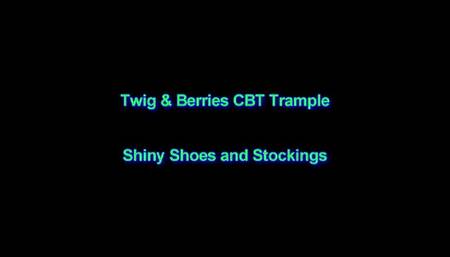 Shiny Shoes and Stockings