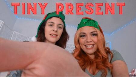 Tiny Present