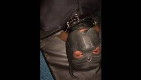 Darlex sleepsack and first night with Vixen