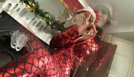 Little Christmas Willy