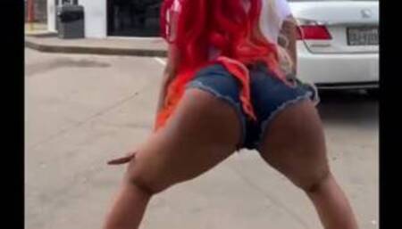 Megan Thee Stallion Sexiest Twerk Videos (Nip Slip /No panties)
