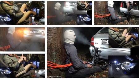 Ms Curious Revving: Second lesson for the eco-colleague