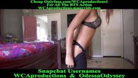 POV Getting My Sister Inlaw Pregnant Complete Series