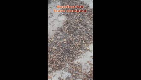 Barefoot Fall Leaves Stomp