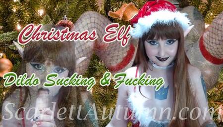 Christmas Elf Sucks and Fucks a Dildo wmv