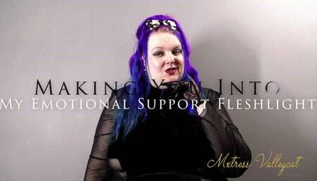 Making You Into My Emotional Support Fleshlight (wmv)