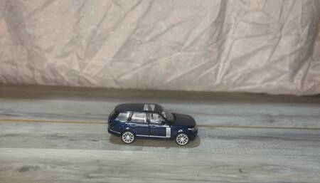 Full weight destroys Range Rover