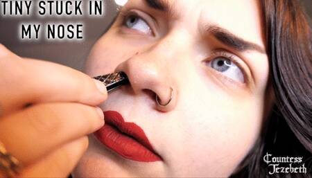 Tiny Stuck in My Nose