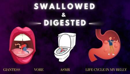 Swallowed & Digested - Giantess Vore ASMR