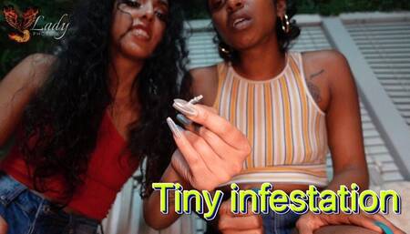 Tiny Infestation