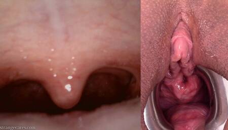 examine my mouth and pussy while I cum (1080 wmv)