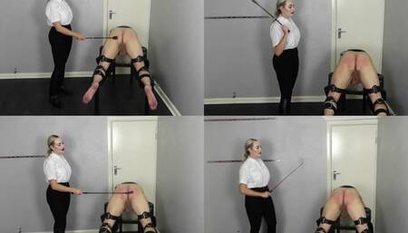 Equestrian fun - size 1920 x 1080