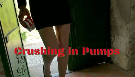 Crushing in Pumps