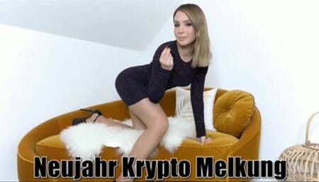 Neujahr Krypto Melkung - German Version