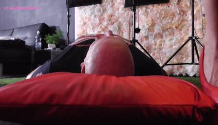 The Ass Files - Adonitology Cheeks - Perv Cam Footage