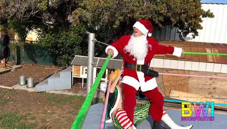 Naughty Elf Steals Christmas