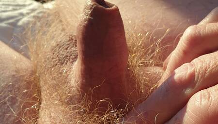 Small cock masturbation and fingering ass