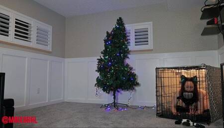 Minx's Puppy Girl Christmas (MP4 Format)