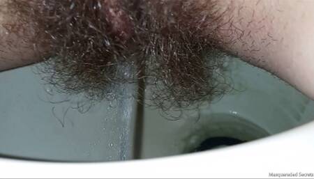 Bushy Toilet Pees HD