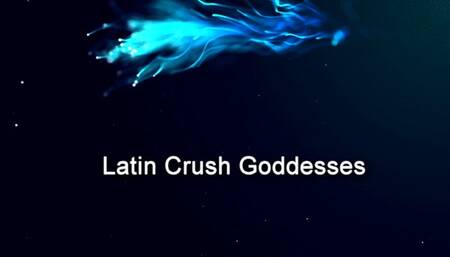 Janet Has A Police Pet