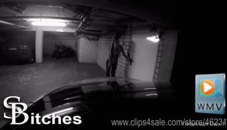 Calea Toxic - Fucked In The Basement - wmv