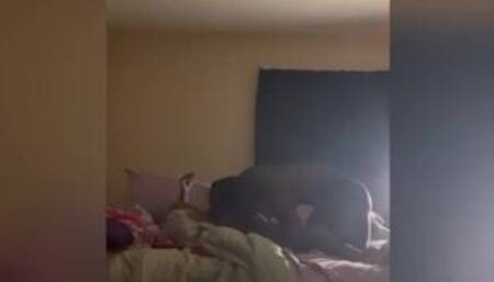 Beating my old head down. She 50 years ol subscribe to my only fans. Link in bio