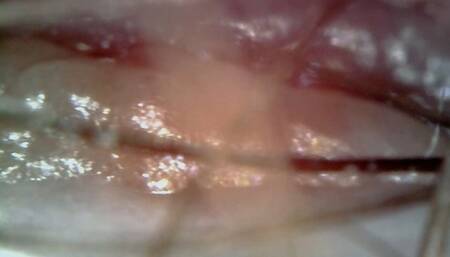 Fertile hairy pussy orgasm - Vore 4K