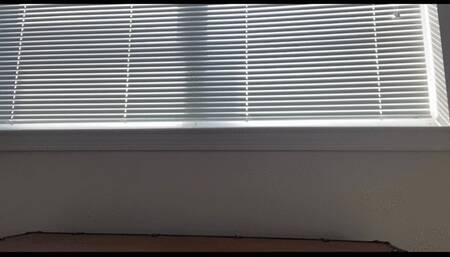 Morning Farts on Hard Surfaces