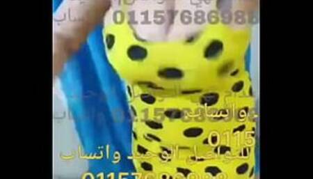 Camel Egypt .. to book with Madame Noha WhatsApp 01157686988