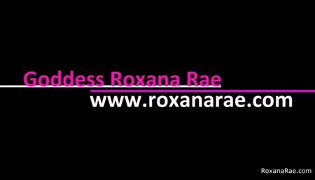 Lost Between My Pussy Lips