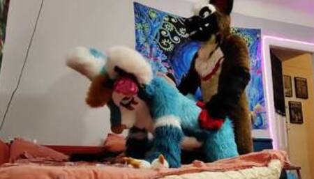 Dog bangs a fox and cums on his face - Fursuit yiff