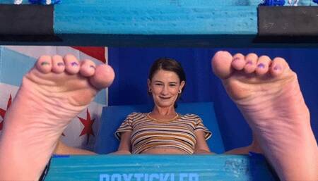 Ambitious Beauty Model Sarah Tickled in Stocks