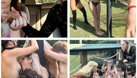 The Hitchhiker Large MP4